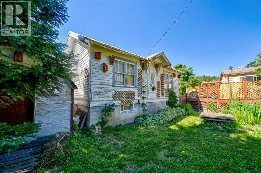 5670 16 Avenue, Coleman, Alberta  T0K 0M0 - Photo 42 - A2328517