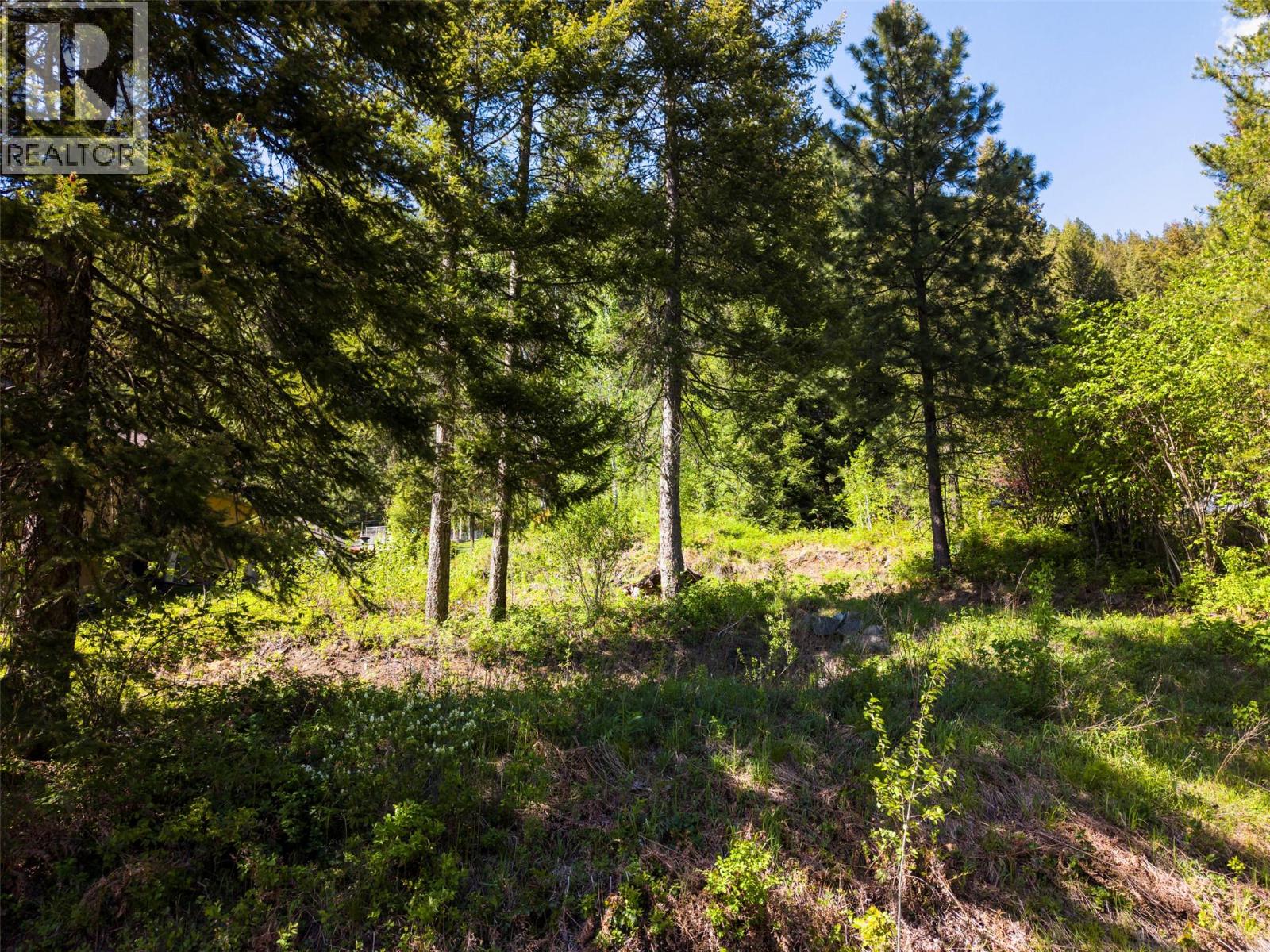 Lot C Woodland Drive, Taghum, British Columbia  V1L 6W9 - Photo 18 - 10386731
