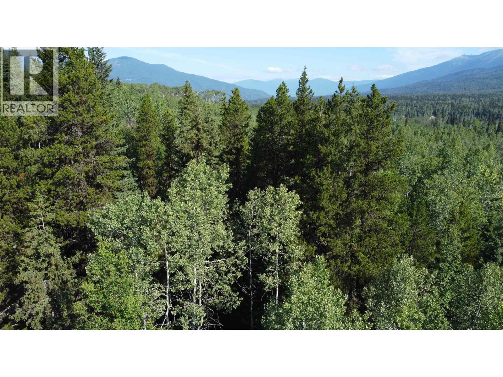 16 Highway, Smithers, British Columbia  V0J 2N1 - Photo 11 - R2967294