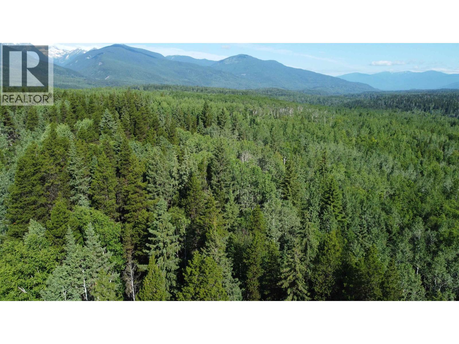 16 Highway, Smithers, British Columbia  V0J 2N1 - Photo 13 - R2967294
