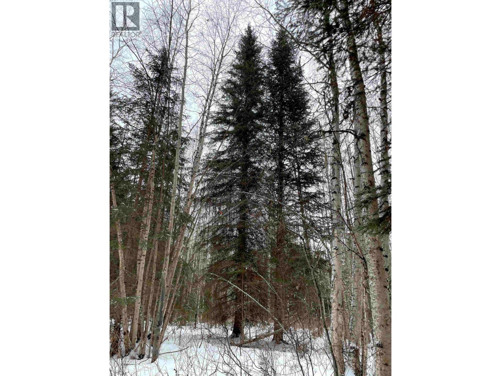 16 Highway, Smithers, British Columbia  V0J 2N1 - Photo 26 - R2967294