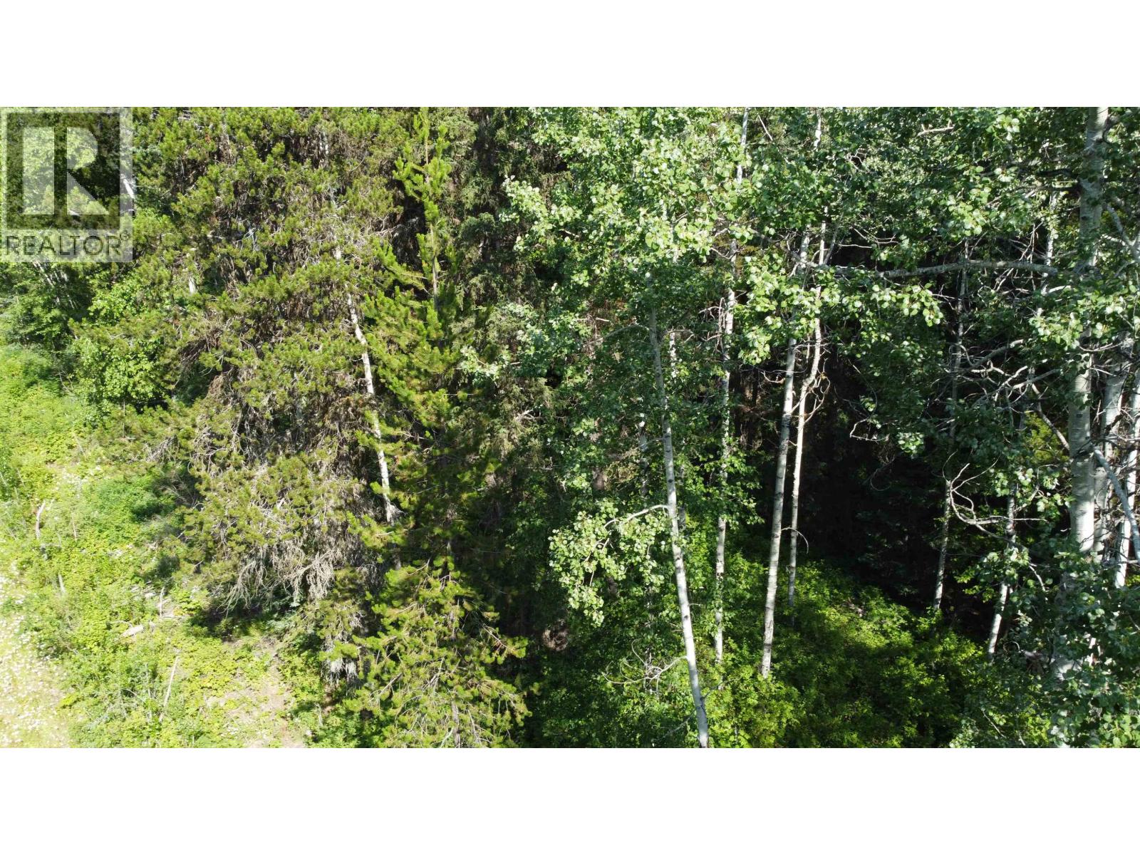 16 Highway, Smithers, British Columbia  V0J 2N1 - Photo 10 - R2967294