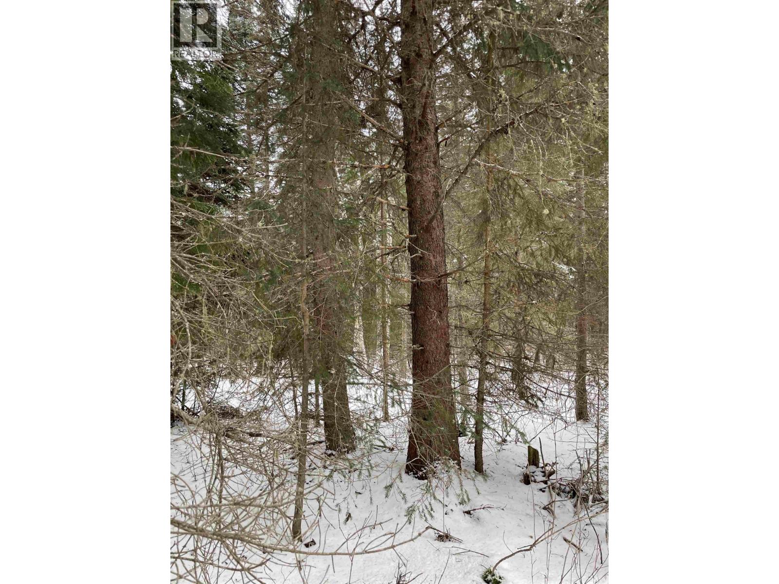 16 Highway, Smithers, British Columbia  V0J 2N1 - Photo 25 - R2967294