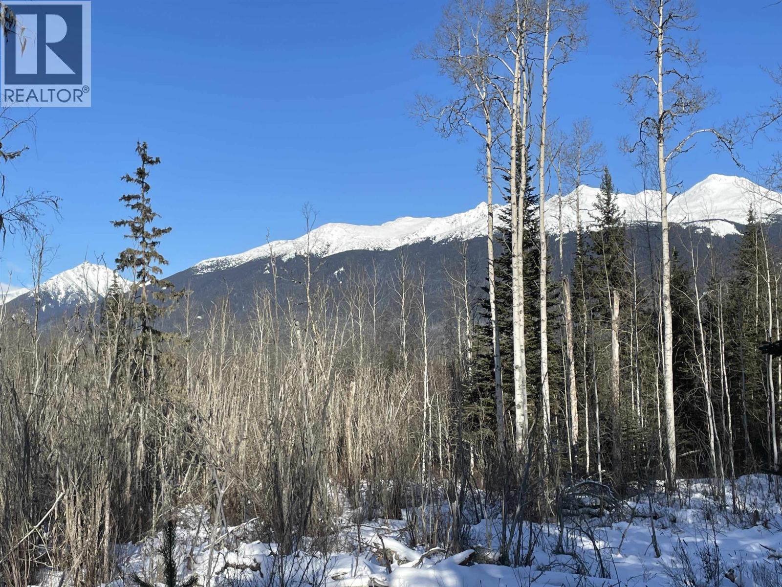 16 Highway, Smithers, British Columbia  V0J 2N1 - Photo 30 - R2967294