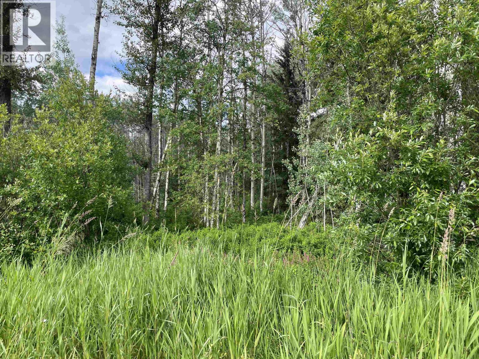 16 Highway, Smithers, British Columbia  V0J 2N1 - Photo 34 - R2967294