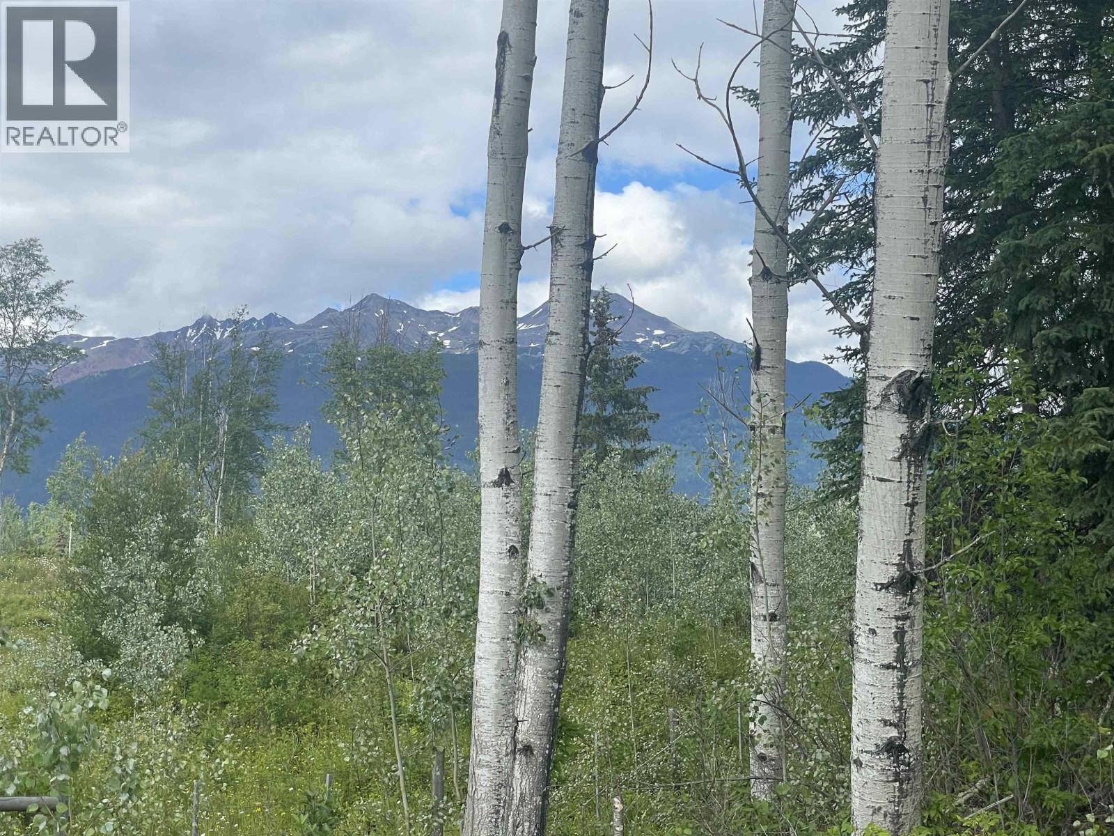 16 Highway, Smithers, British Columbia  V0J 2N1 - Photo 35 - R2967294