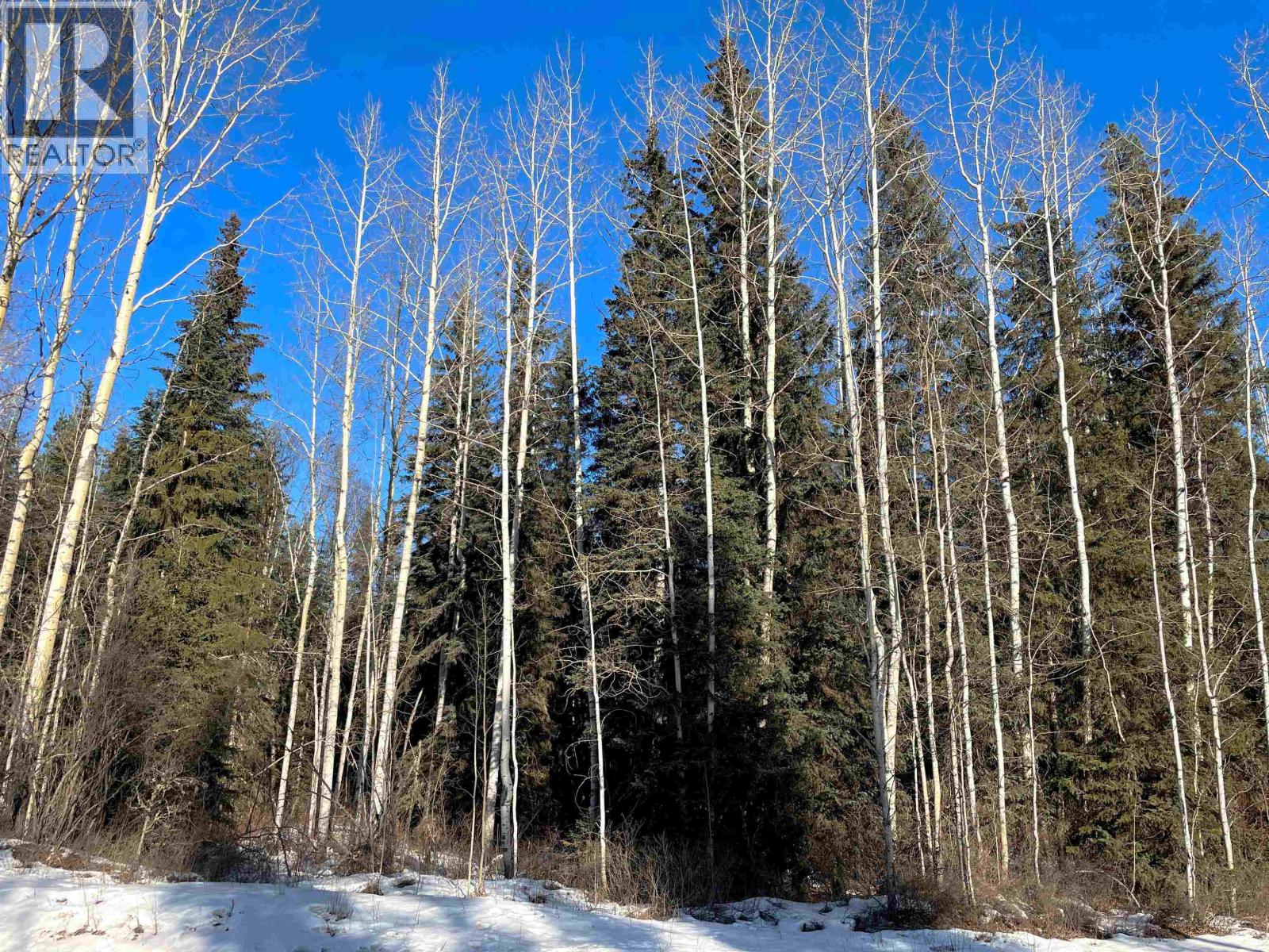 16 Highway, Smithers, British Columbia  V0J 2N1 - Photo 4 - R2967294