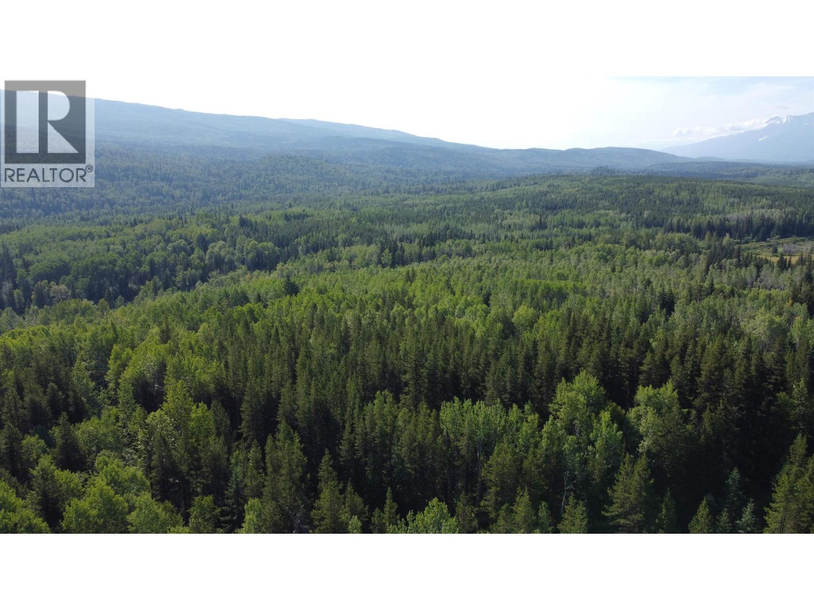 16 Highway, Smithers, British Columbia  V0J 2N1 - Photo 17 - R2967294