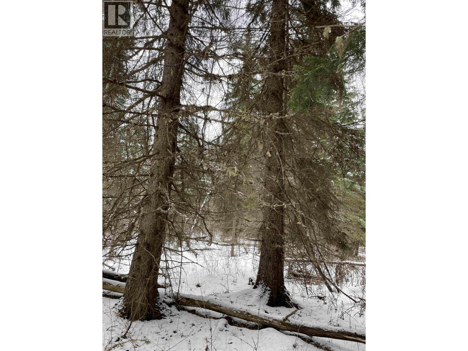 16 Highway, Smithers, British Columbia  V0J 2N1 - Photo 24 - R2967294