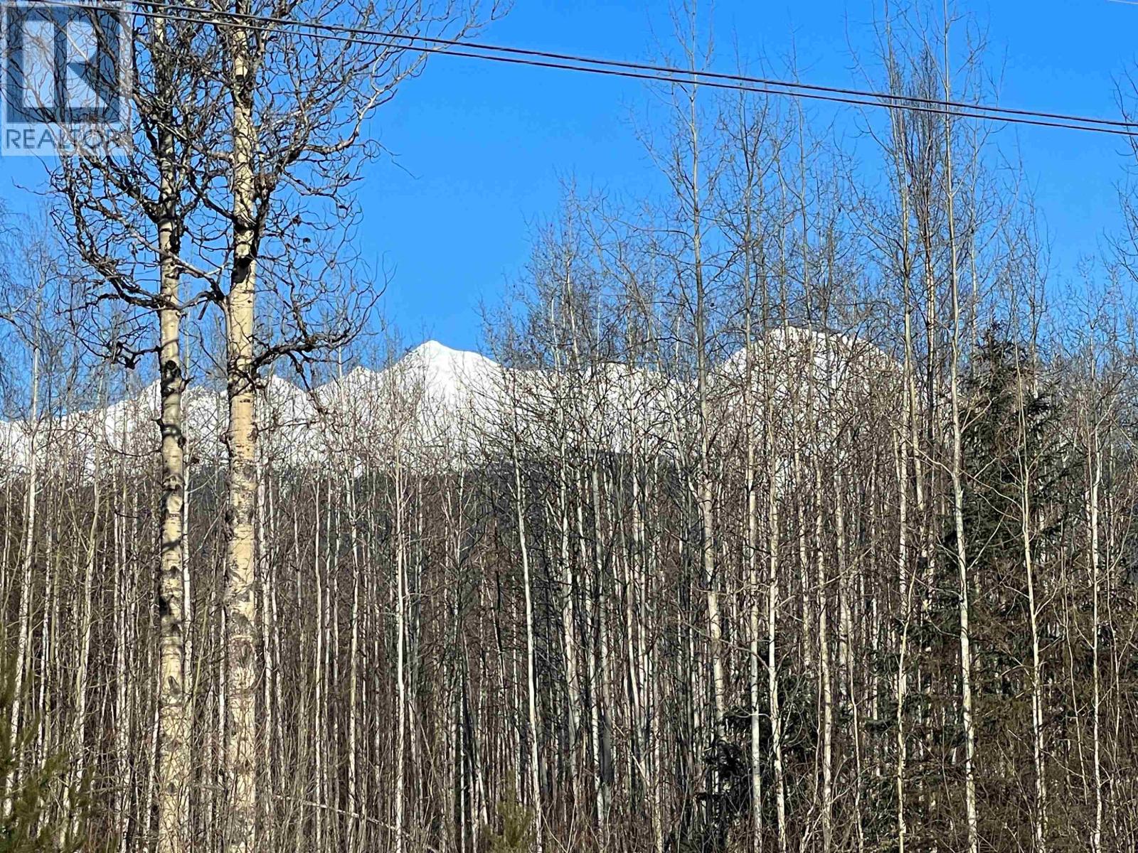 16 Highway, Smithers, British Columbia  V0J 2N1 - Photo 28 - R2967294
