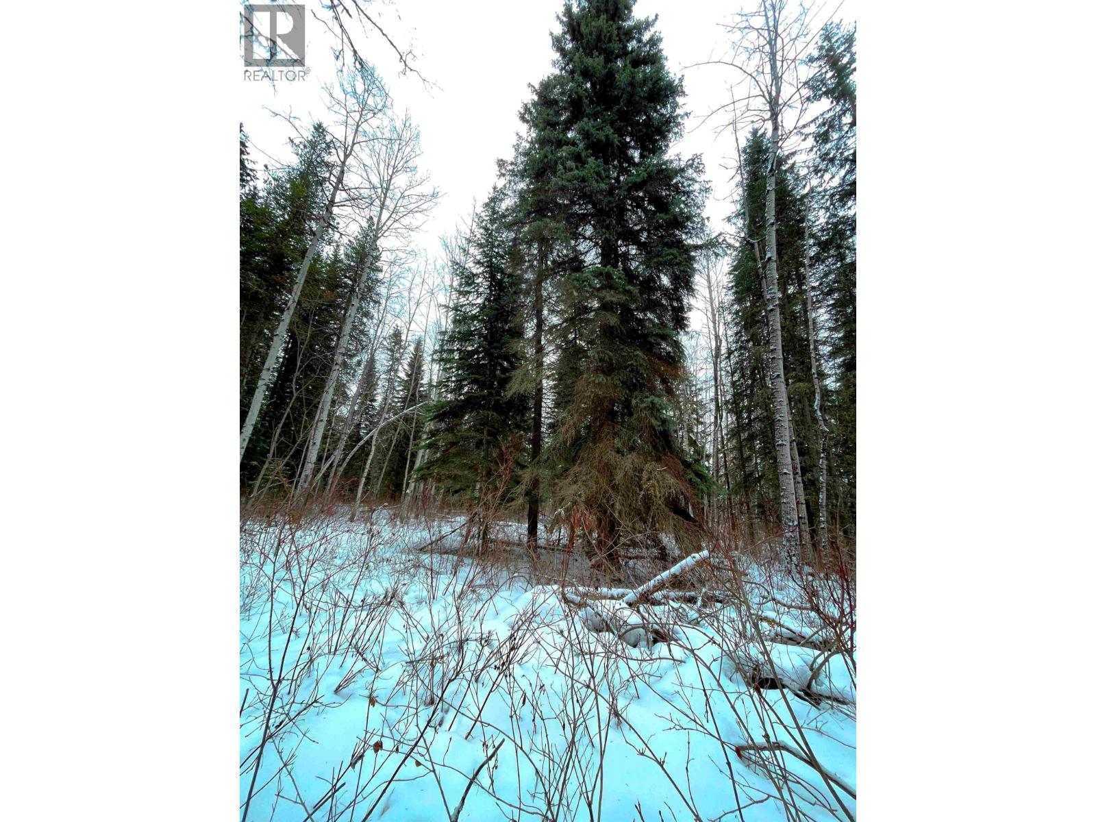 16 Highway, Smithers, British Columbia  V0J 2N1 - Photo 22 - R2967294