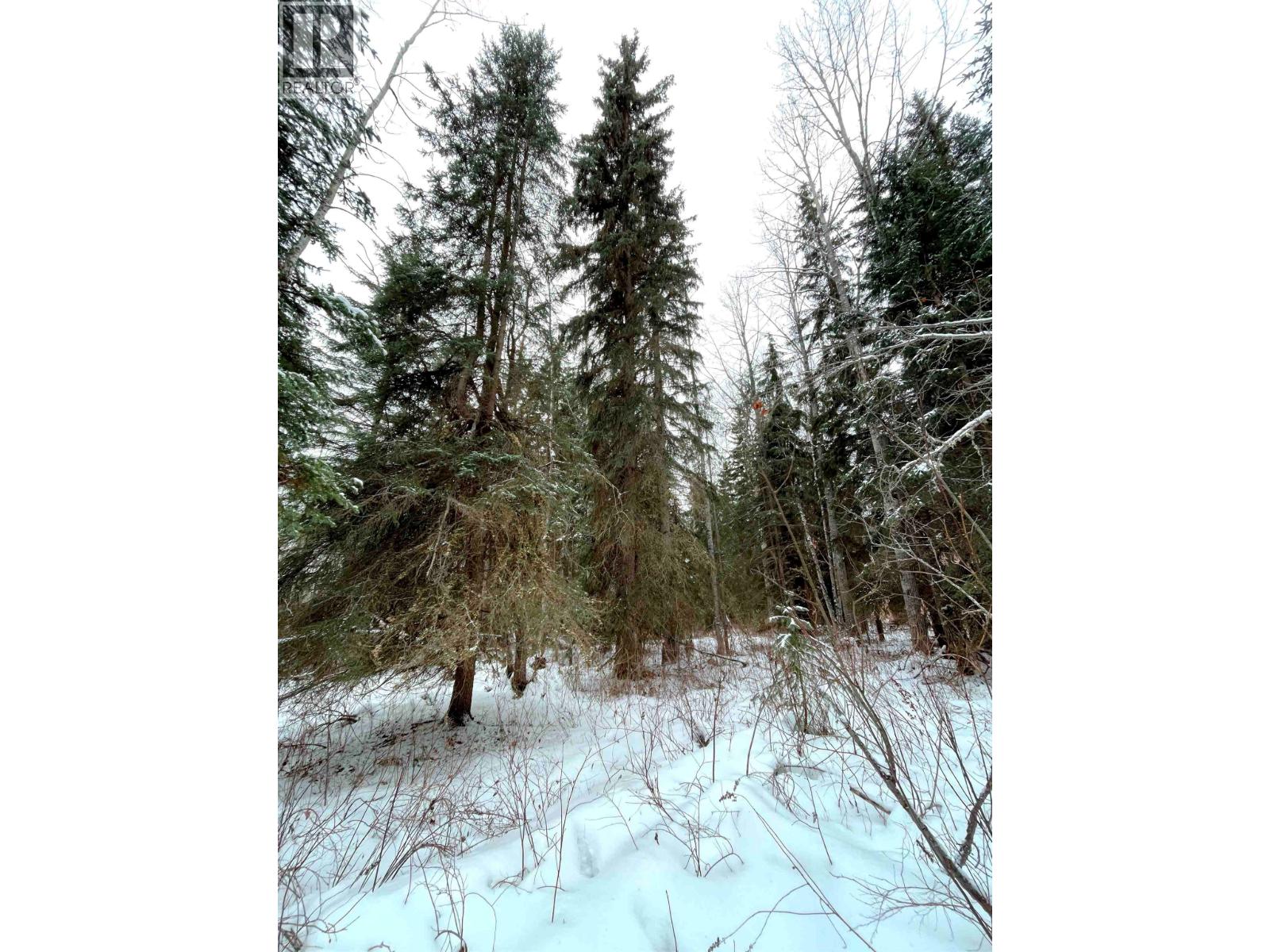 16 Highway, Smithers, British Columbia  V0J 2N1 - Photo 27 - R2967294