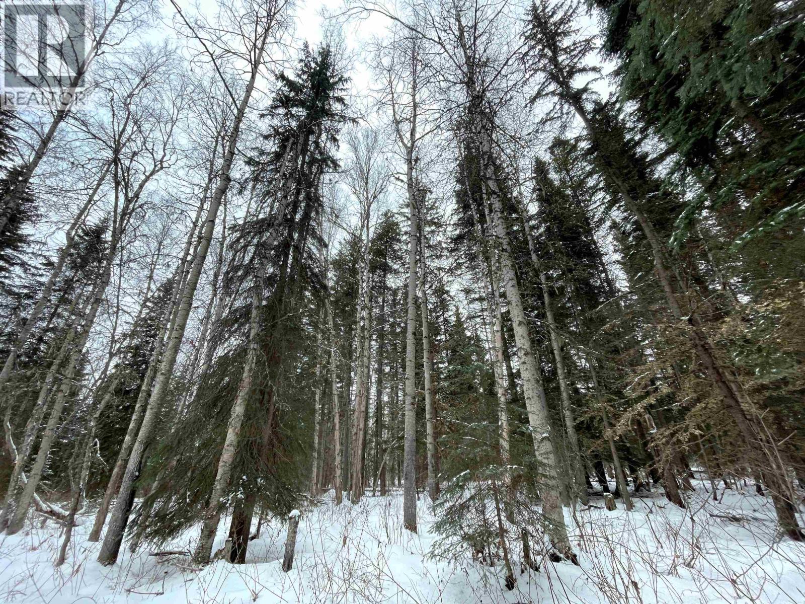 16 Highway, Smithers, British Columbia  V0J 2N1 - Photo 21 - R2967294
