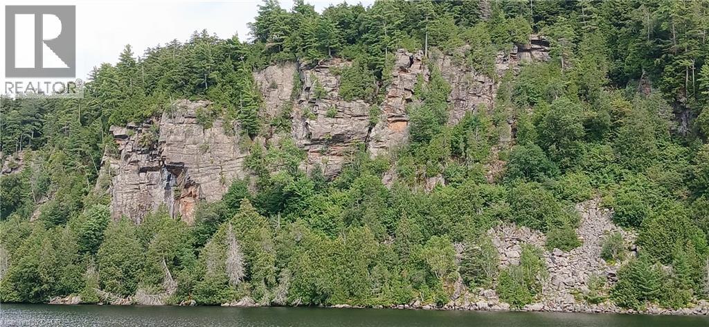 1123 Blue Lake Road, Lake Of Bays, Ontario  P1H 2J6 - Photo 27 - 40853513