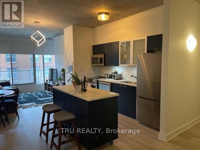 412 - 383 Cumberland Street, Ottawa, Ontario  K1N 1J7 - Photo 4 - X13660302