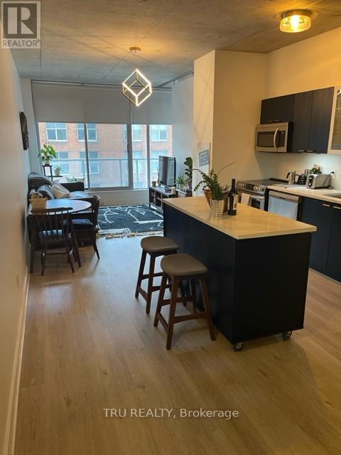 412 - 383 Cumberland Street, Ottawa, Ontario  K1N 1J7 - Photo 5 - X13660302
