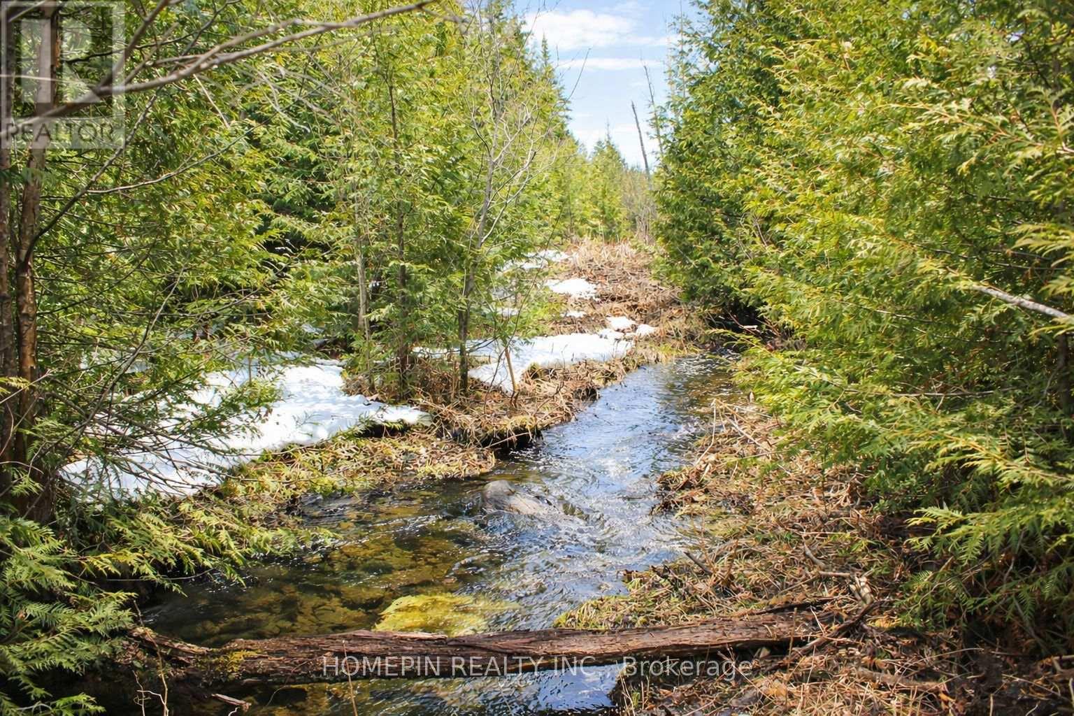 673 Buckshot Lake Road, Addington Highlands, Ontario K0H 1K0 - Photo 4 - X13660310