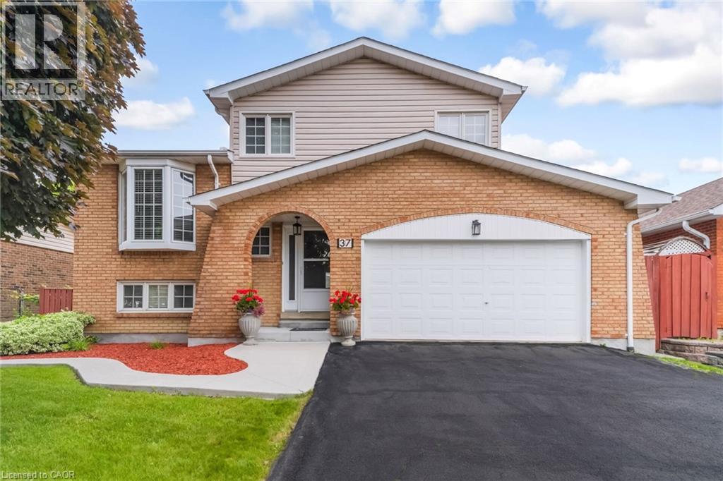 37 BLACKTHORN Lane, Brampton, Ontario
