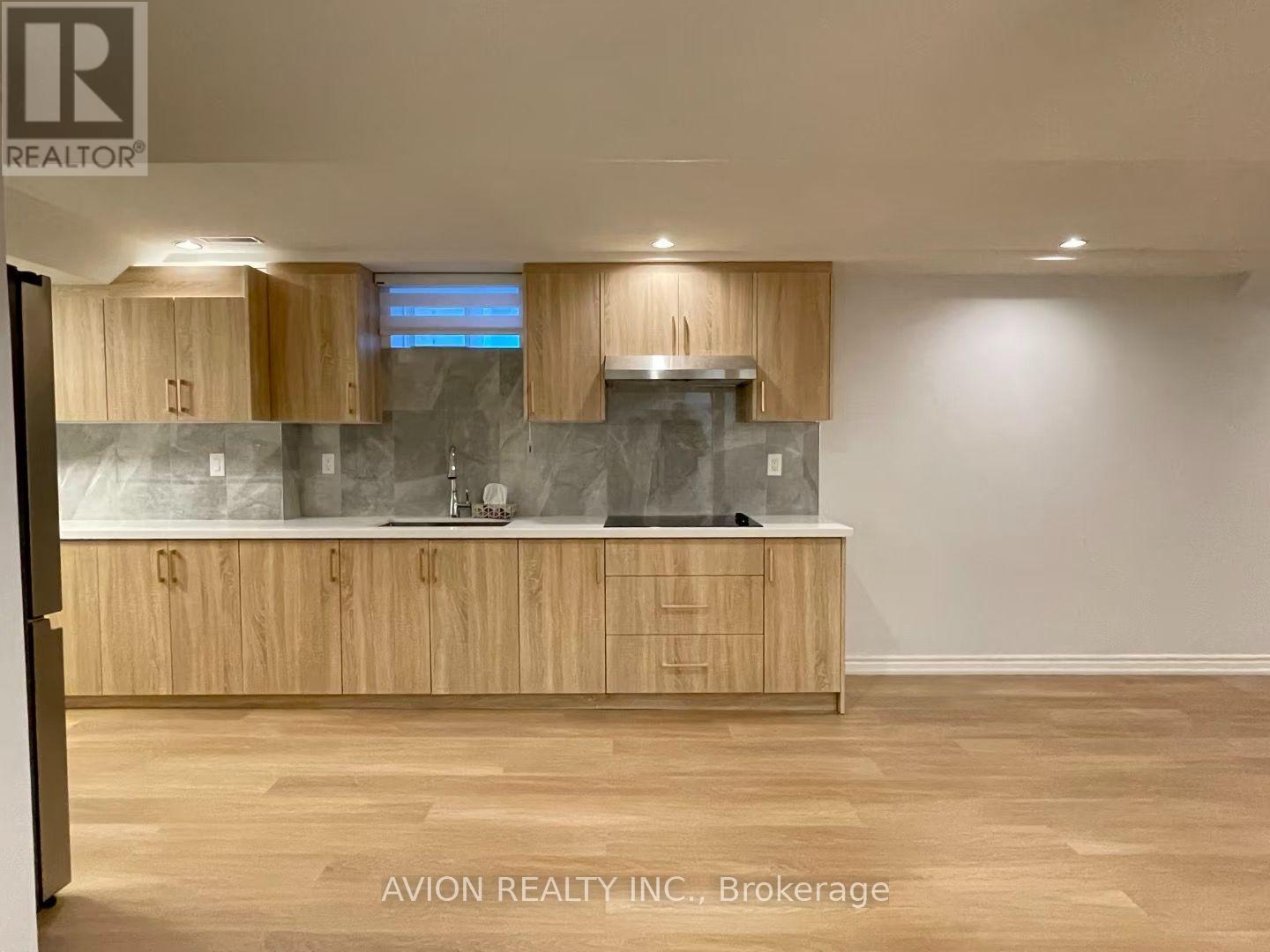 Basement - 29 Falling River Drive, Richmond Hill, Ontario  L4S 2R1 - Photo 11 - N13660430