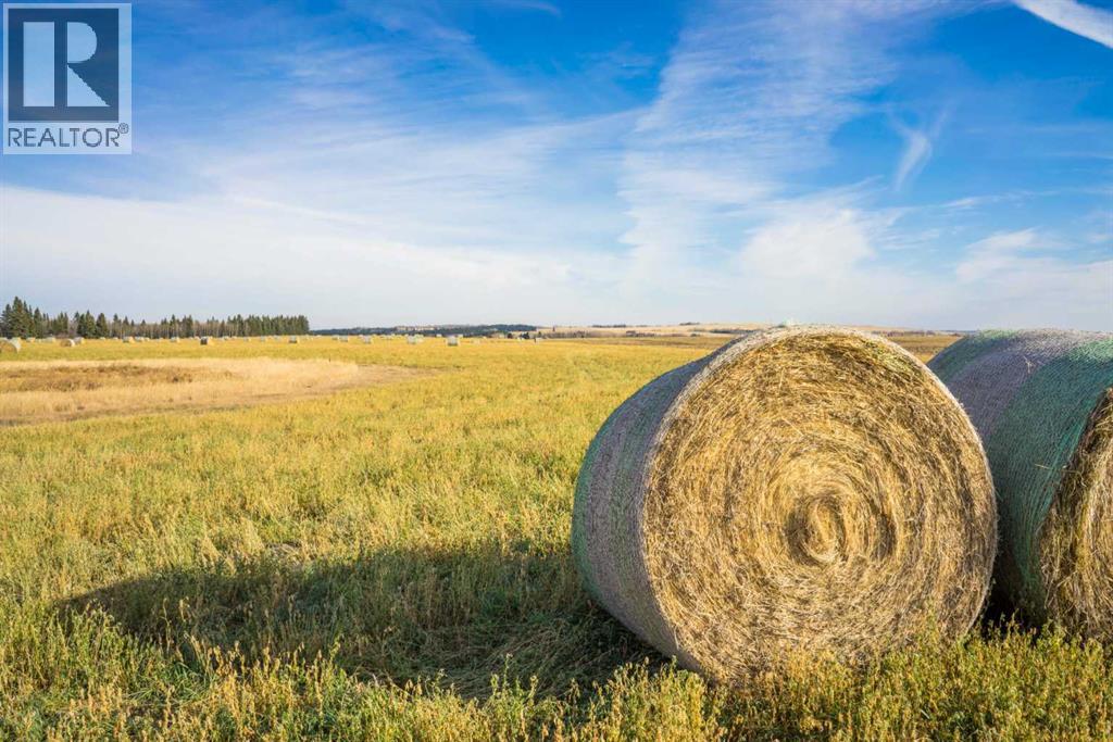 NW;32;22;2;w5m, Rural Foothills County, Alberta  T1S 0T3 - Photo 6 - A2267830