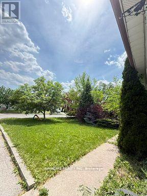 Lower - 256 Patricia Avenue, Toronto, Ontario  M2M 1J8 - Photo 6 - C13637888