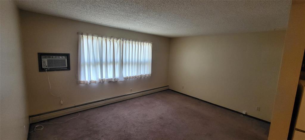 111 1591 26th Street, Brandon, Manitoba  R7B 4A8 - Photo 7 - 202620029