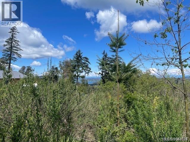 171 Northern Way, Salt Spring, British Columbia  V8K 2Y1 - Photo 7 - 1044034
