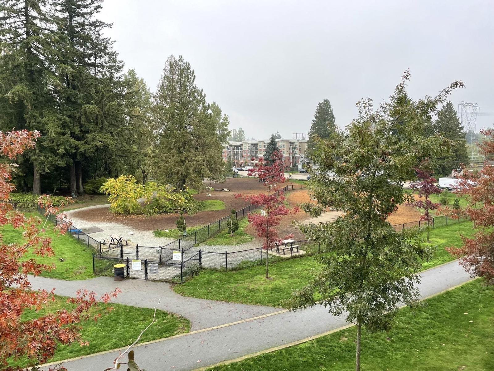 314 13963 105a Boulevard, Surrey, British Columbia  V3T 0M9 - Photo 12 - R3154590