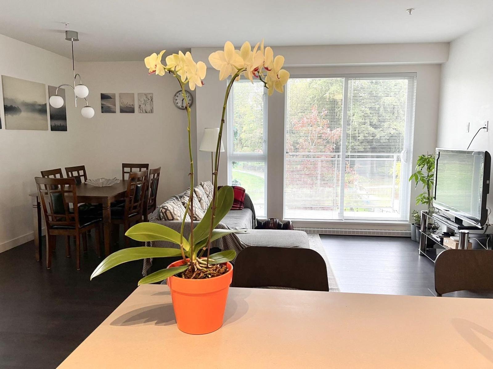 314 13963 105a Boulevard, Surrey, British Columbia  V3T 0M9 - Photo 2 - R3154590