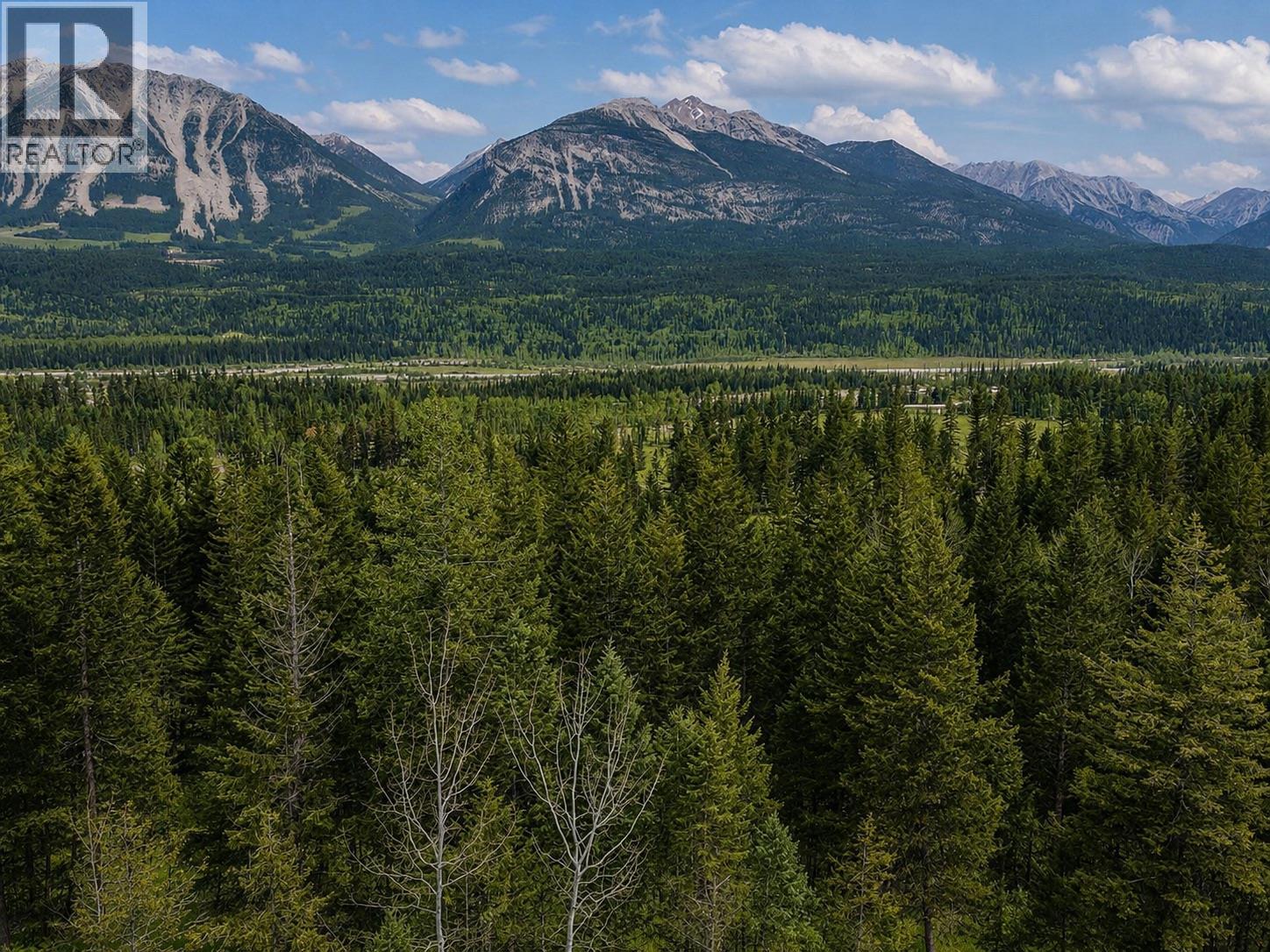 1260 Whitetail Drive, Golden, British Columbia  V0A 1H7 - Photo 6 - 10380602