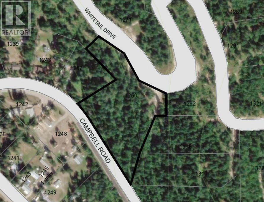 1260 WHITETAIL Drive, Golden, British Columbia