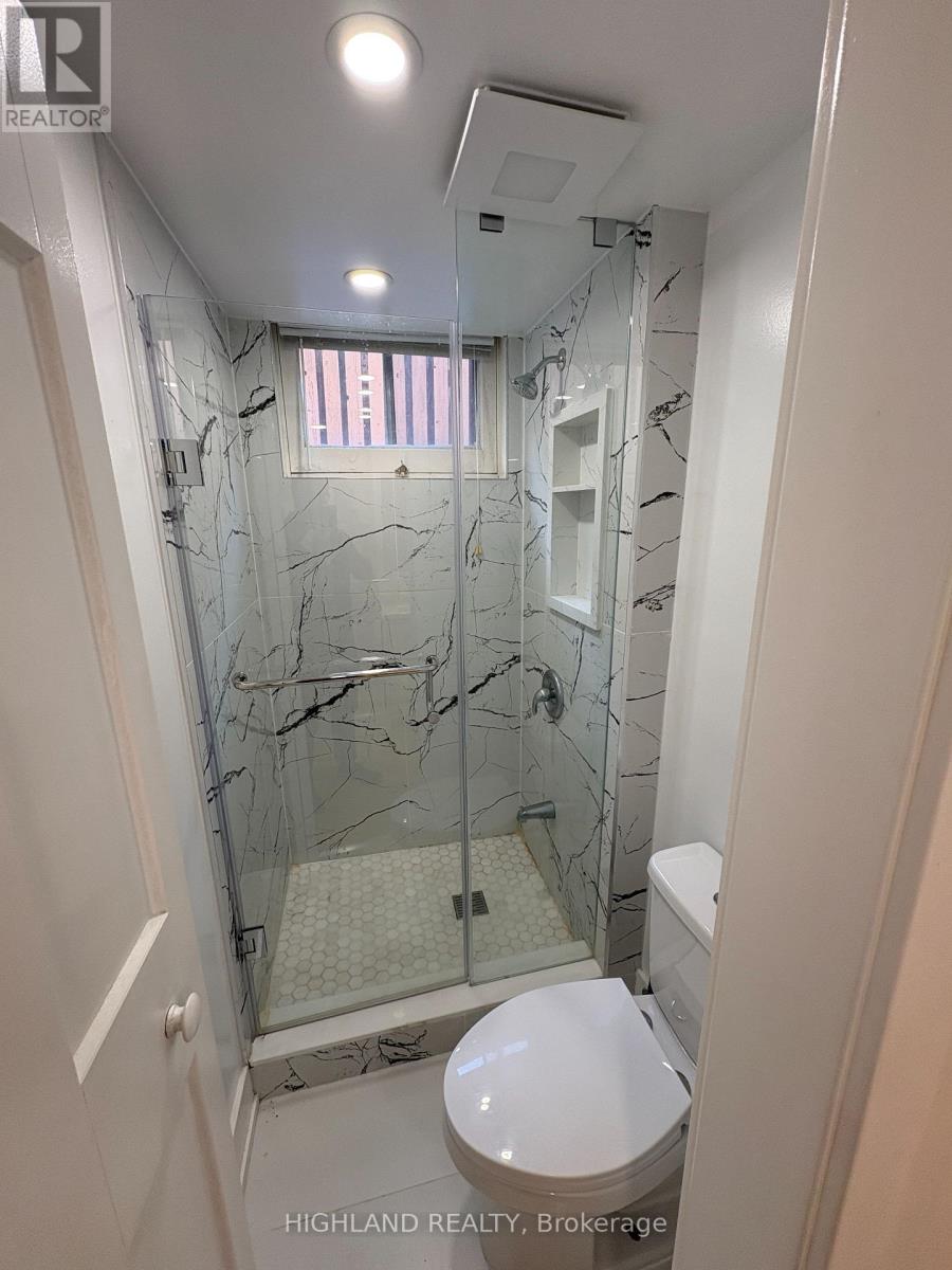 Basement - 167 Churchill Avenue, Toronto, Ontario  M2N 1Z3 - Photo 7 - C13660494