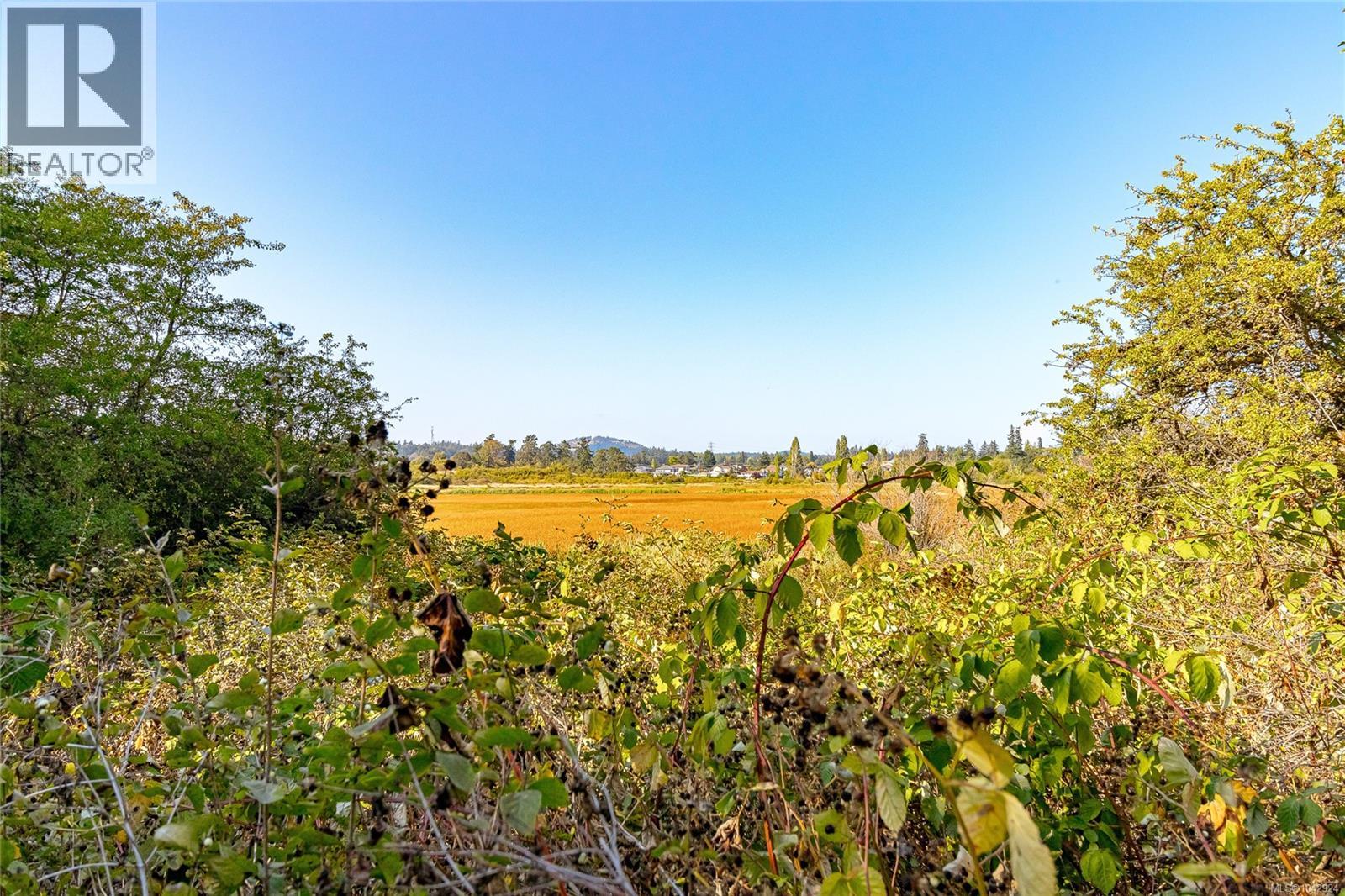 4030 Grange Rd, Saanich, British Columbia  V8Z 4V3 - Photo 65 - 1042924