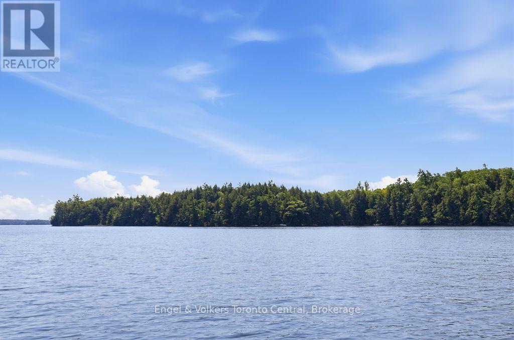 726 Browning Island, Bracebridge, Ontario  P1L 1X2 - Photo 34 - X13660664