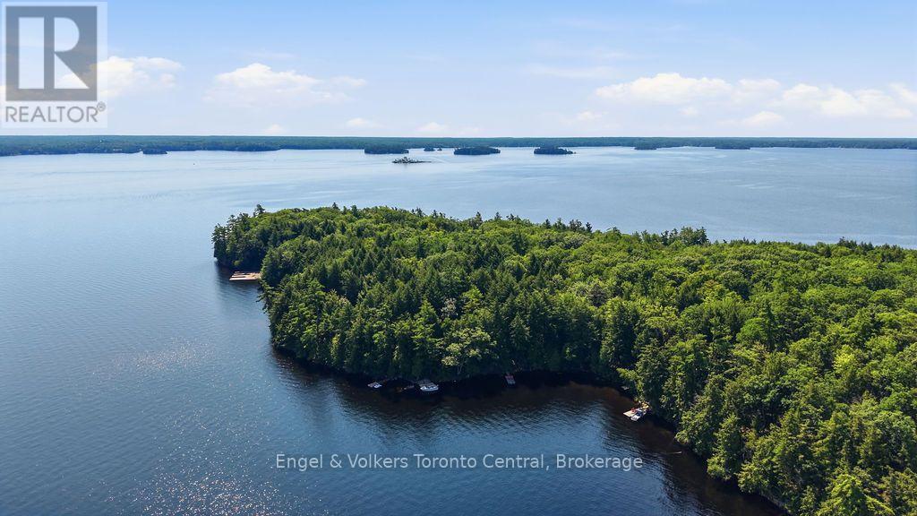 726 Browning Island, Bracebridge, Ontario  P1L 1X2 - Photo 35 - X13660664