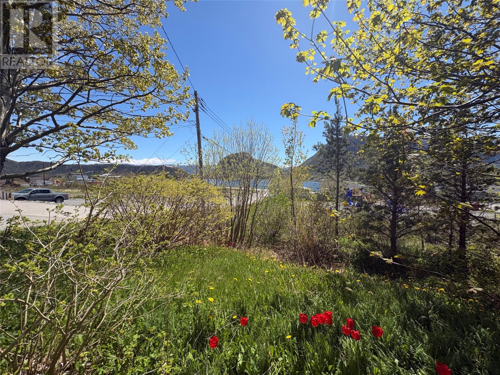7 Town Hall Road, Lark Harbour — photo 5
