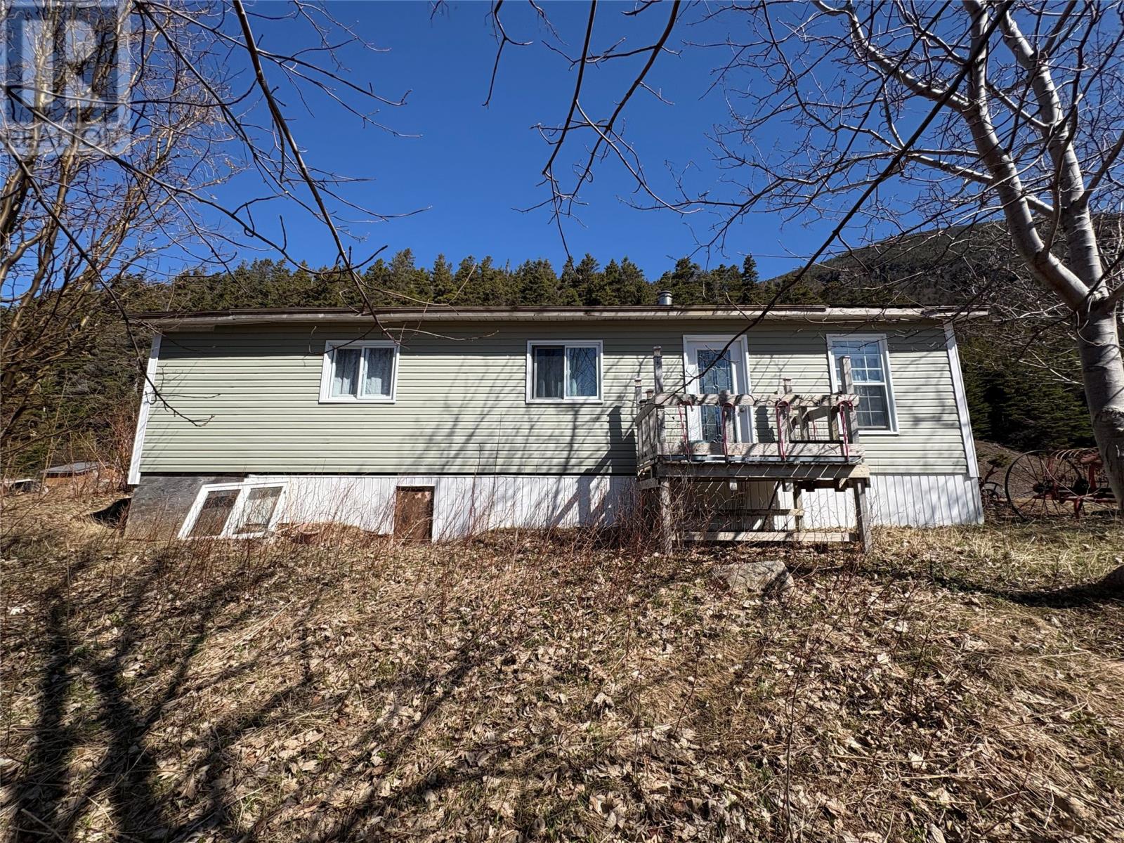7 Town Hall Road, Lark Harbour — photo 4