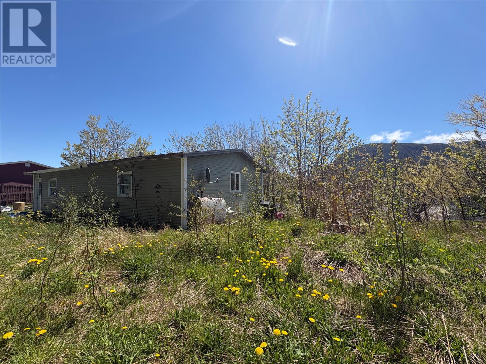 7 Town Hall Road, Lark Harbour — photo 7