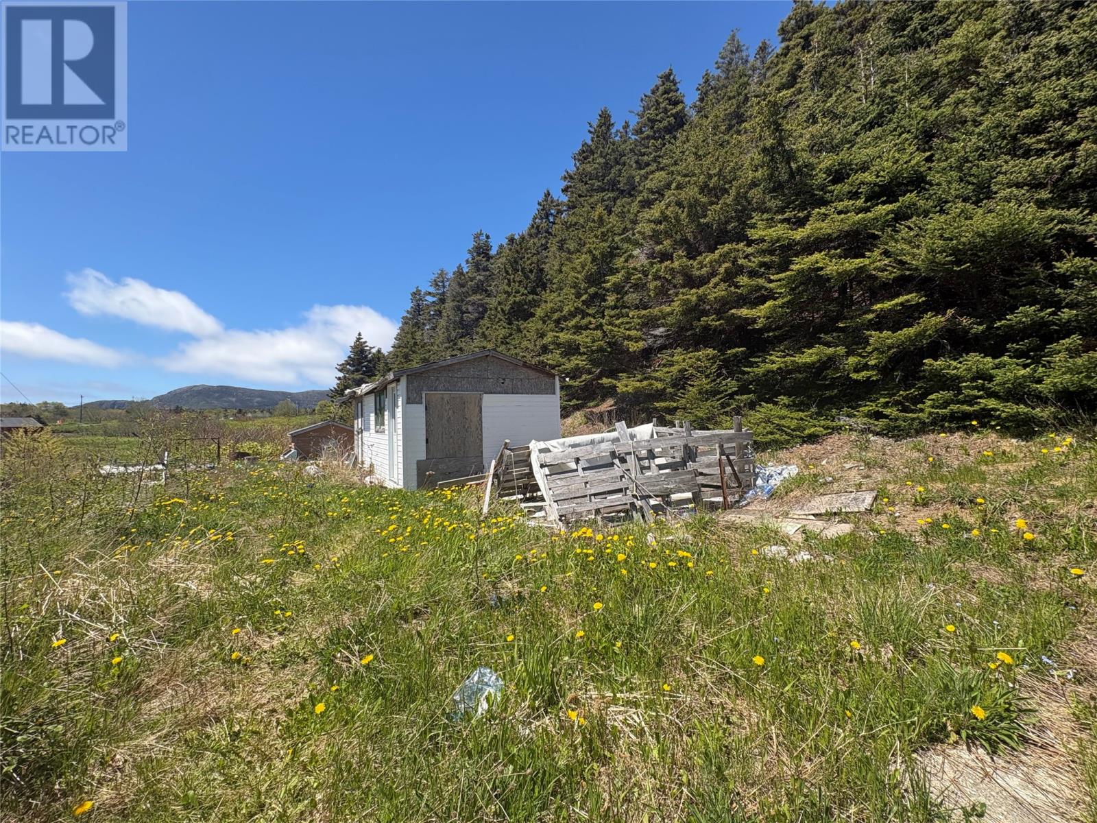 7 Town Hall Road, Lark Harbour — photo 8