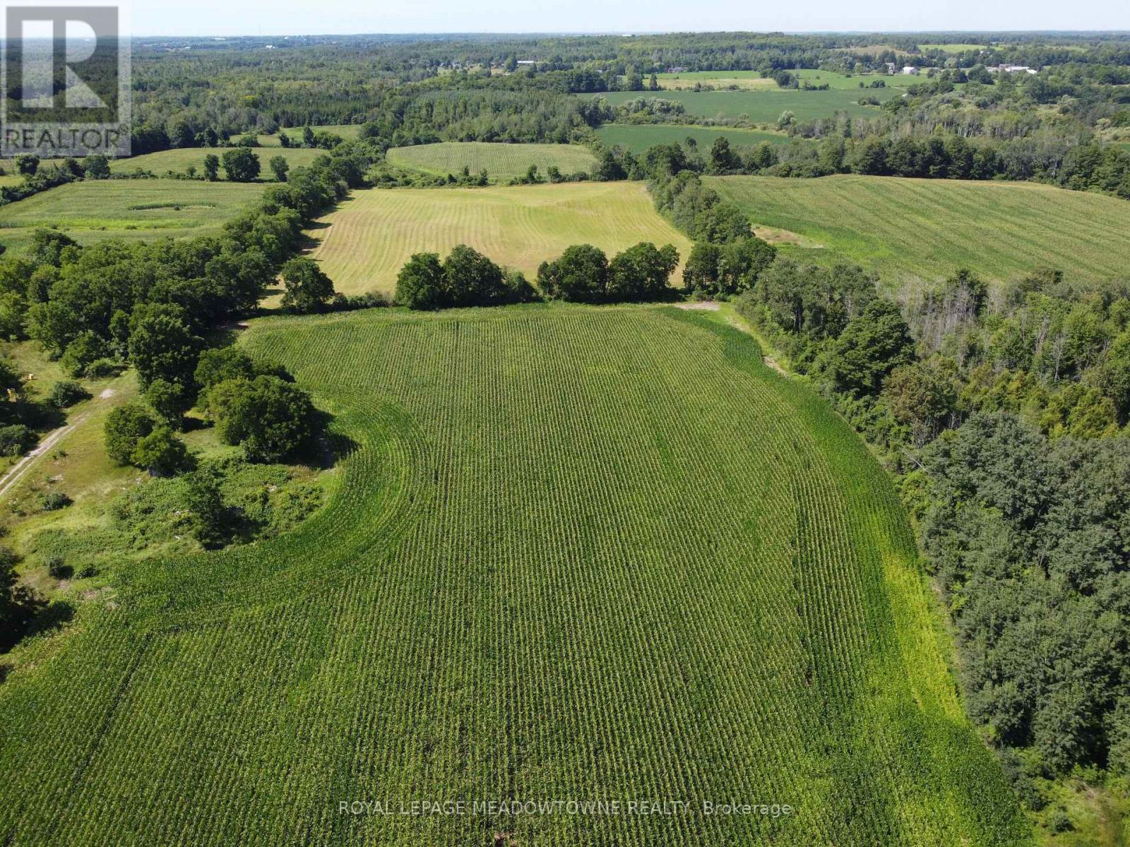 11080 First Line Nassagaweya, Milton, Ontario  L0P 1J0 - Photo 5 - W13208214