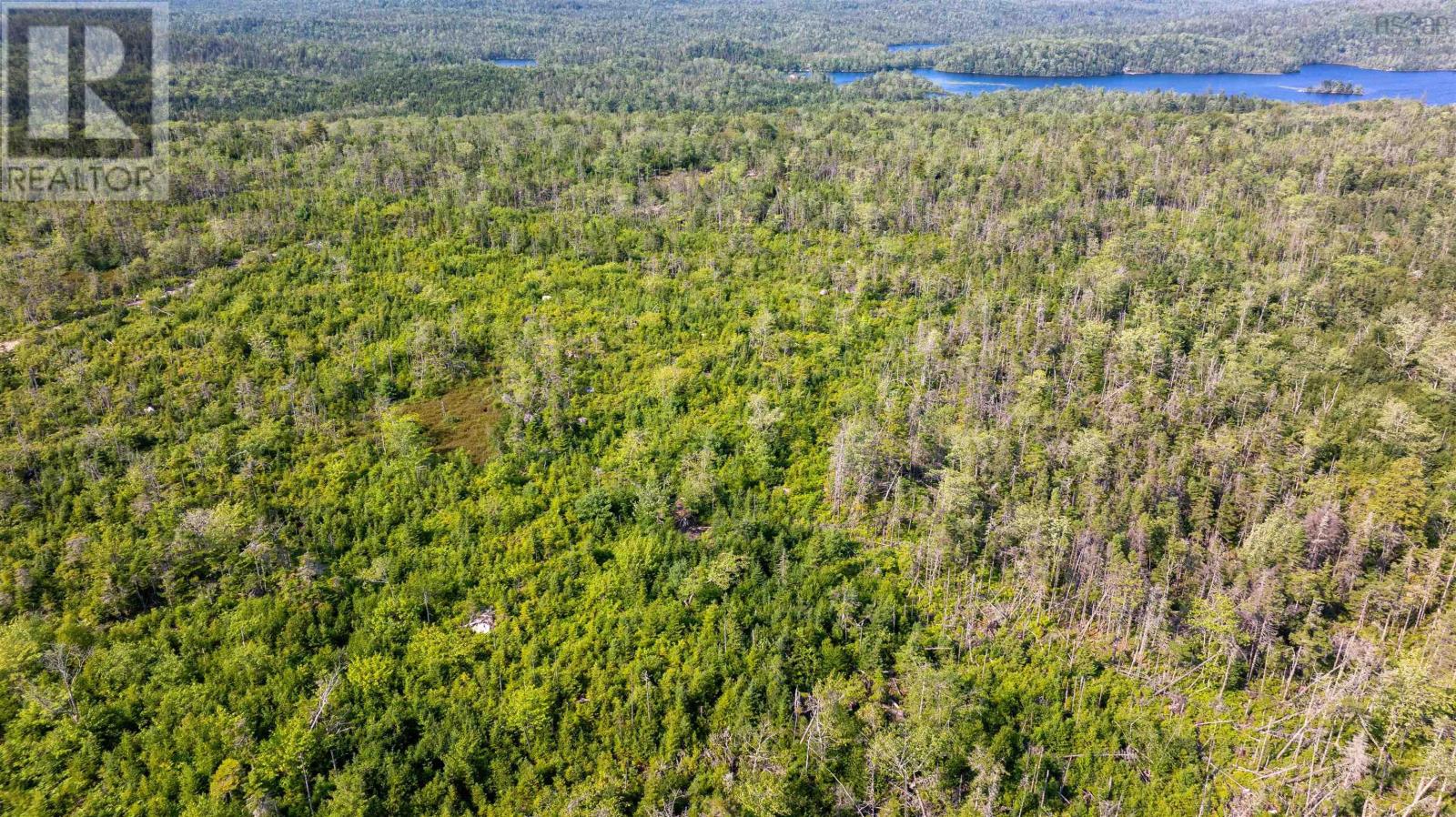29 Acre Parcel Highway 7 Highway E, East Ship Harbour, Nova Scotia  B0J 3H0 - Photo 4 - 202620216