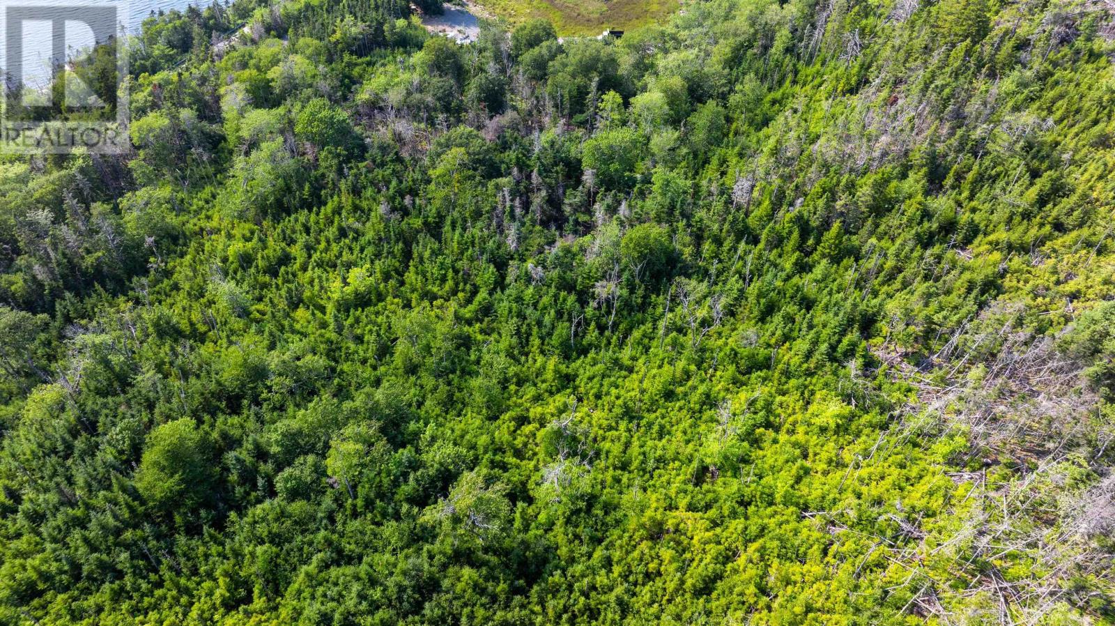 29 Acre Parcel Highway 7 Highway E, East Ship Harbour, Nova Scotia  B0J 3H0 - Photo 5 - 202620216