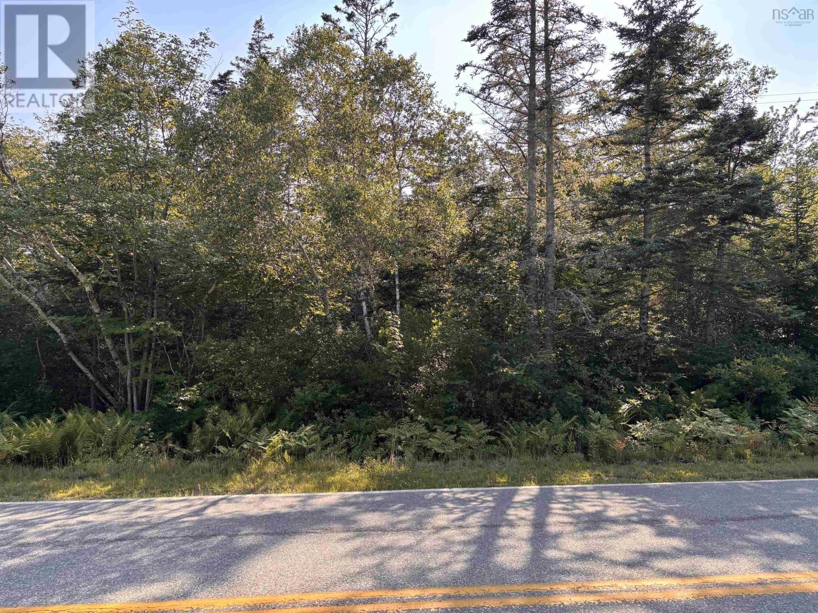 Lot Pages Corner, Lydgate, Nova Scotia  B0T 1L0 - Photo 8 - 202620217