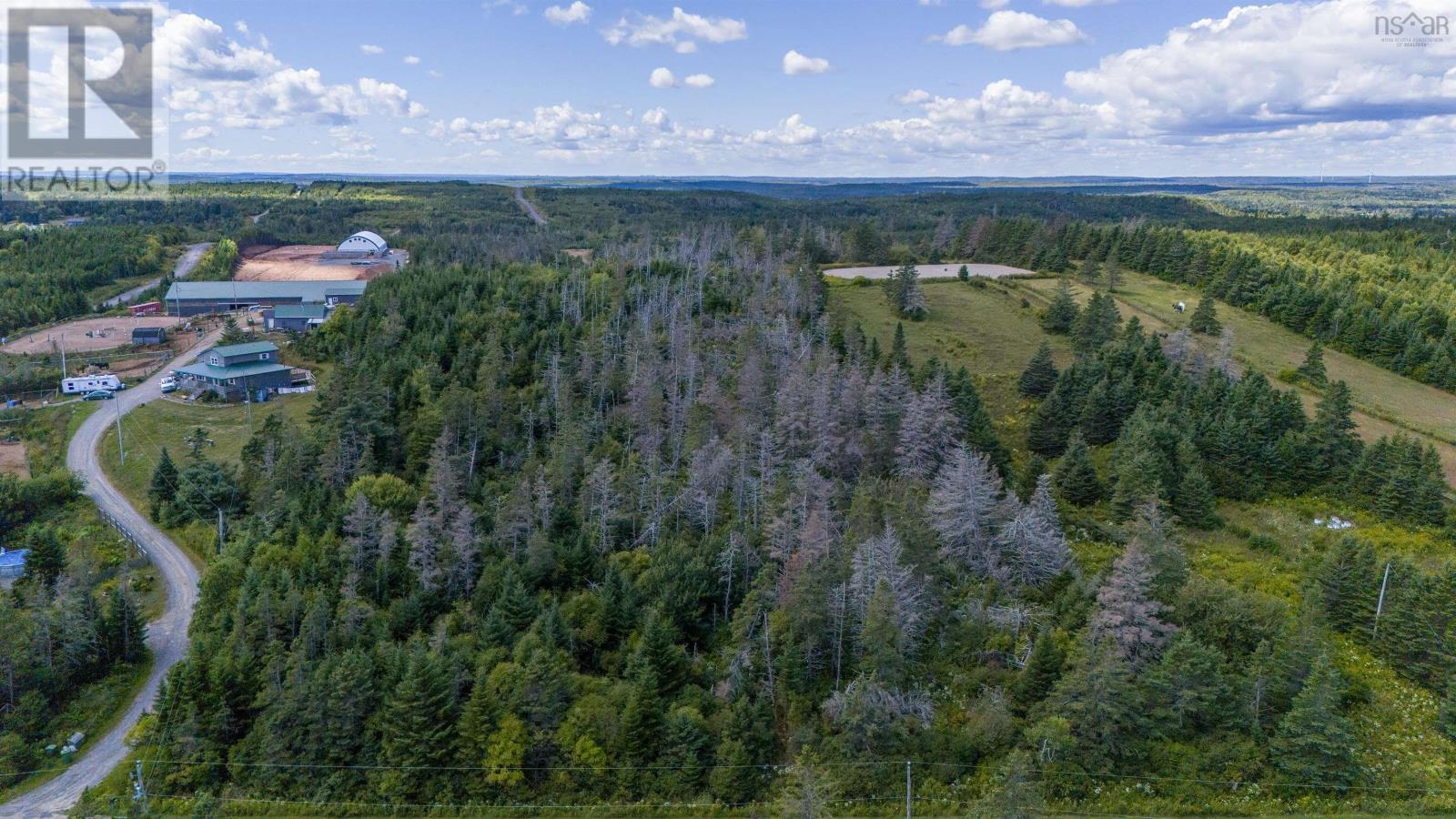 57 Conrod Road, Grand Desert, Nova Scotia  B0J 2L0 - Photo 16 - 202604686
