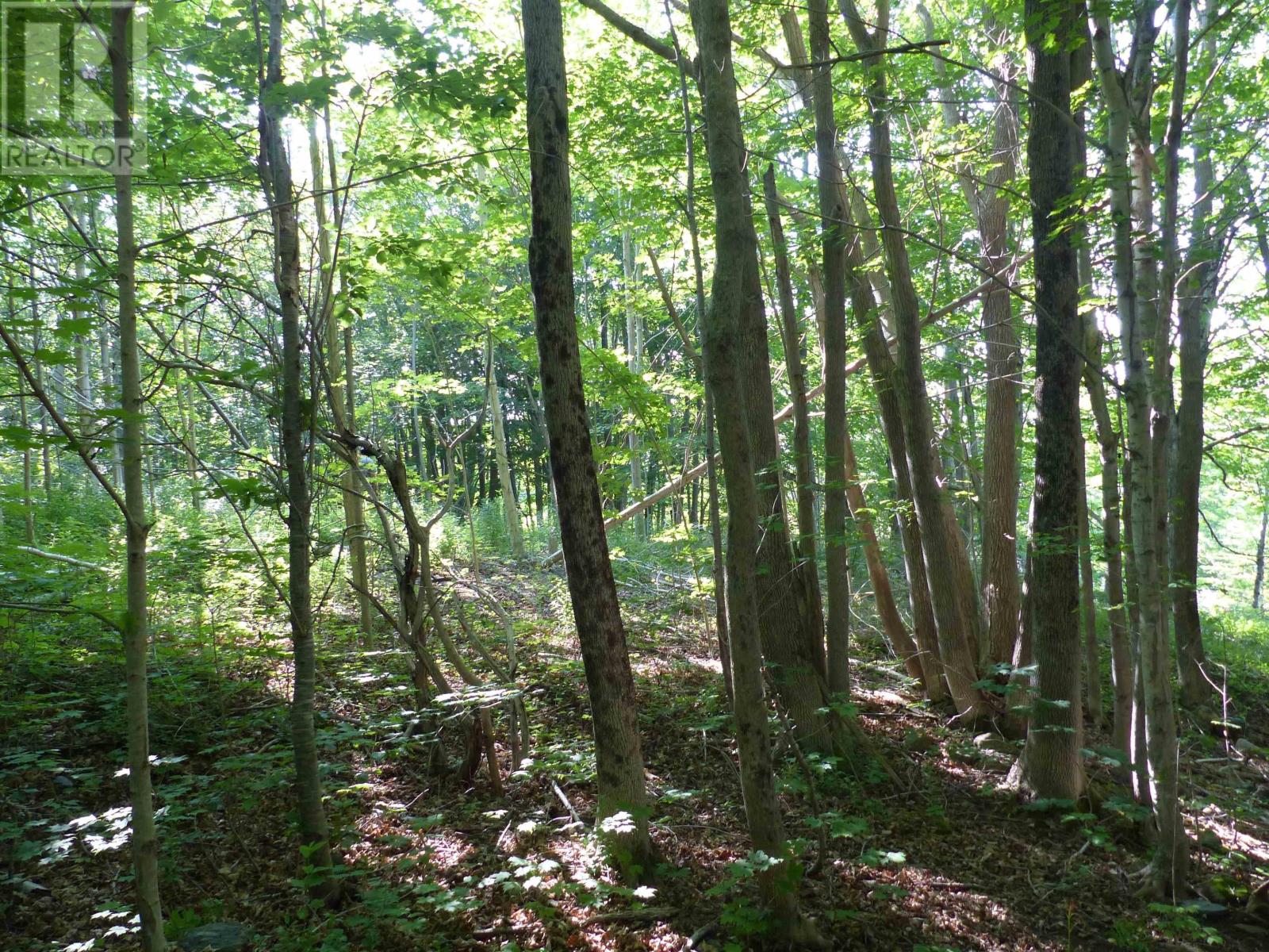 Highway 1, Clementsport, Nova Scotia  B0S 1E0 - Photo 19 - 202620233