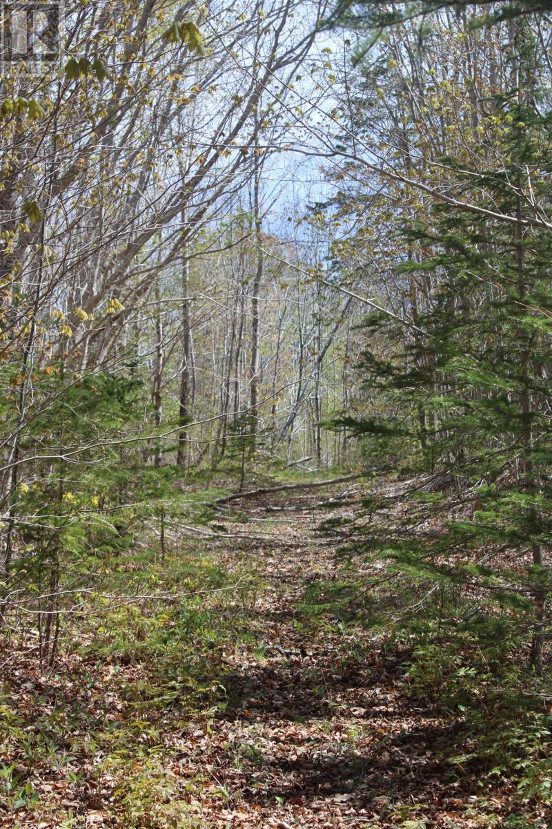 Highway 1, Clementsport, Nova Scotia  B0S 1E0 - Photo 6 - 202620233