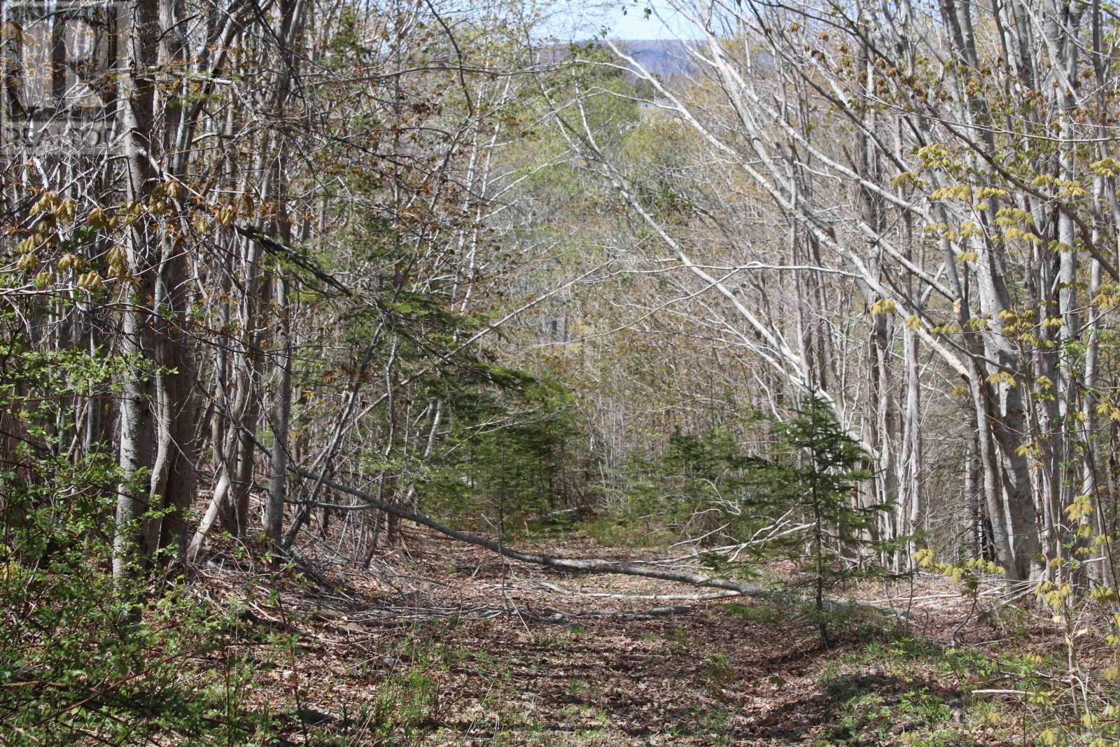 Highway 1, Clementsport, Nova Scotia  B0S 1E0 - Photo 3 - 202620233