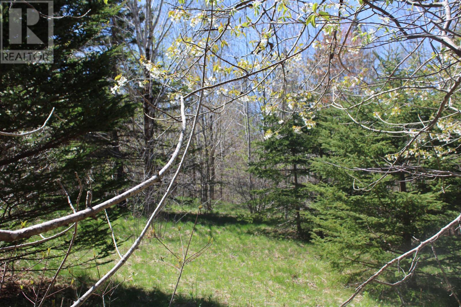 Highway 1, Clementsport, Nova Scotia  B0S 1E0 - Photo 7 - 202620233