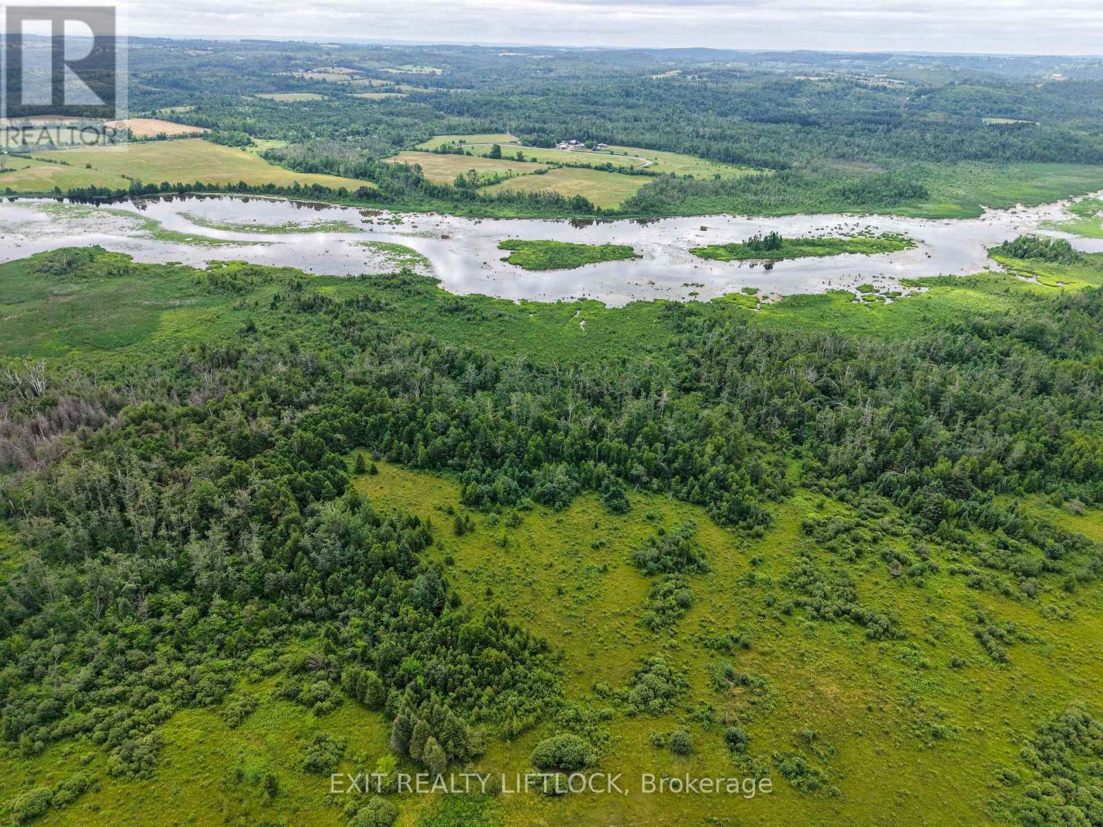 3756 Hwy 7, Kawartha Lakes, Ontario  K0L 2W0 - Photo 5 - X13661312