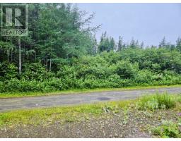 <div class="price">$15,500</div> 7 Lot -Camp 4 Road<br>Bay D'espoir Highway, Newfoundland & Labrador<br>